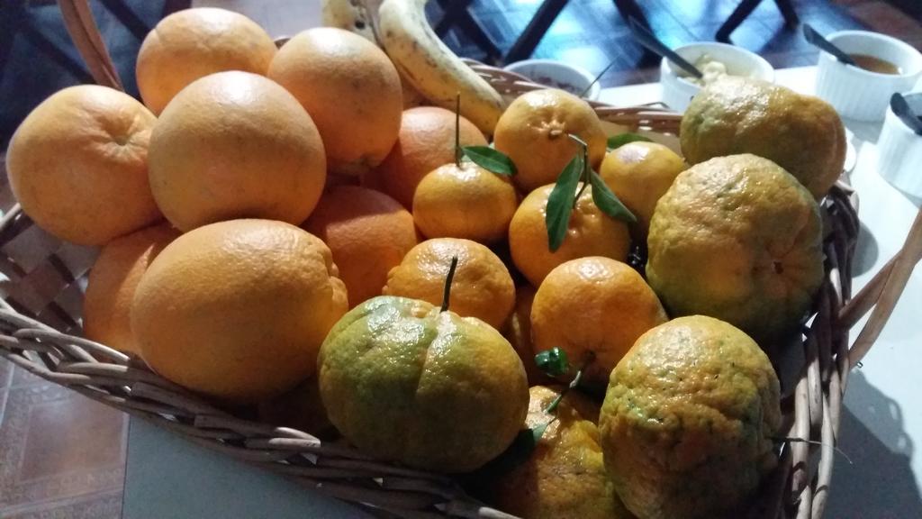 Pousada Três Coroas Zewnętrze zdjęcie